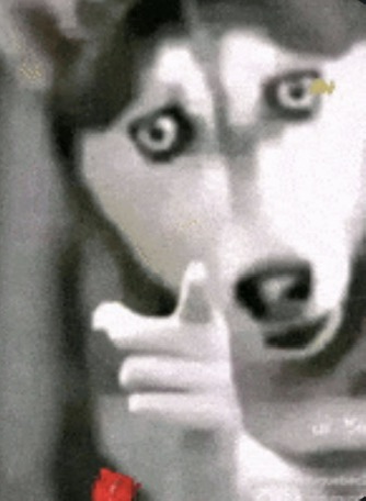 IMG_0632.PNG